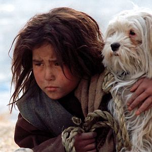 Photo Marzieh Meshkini