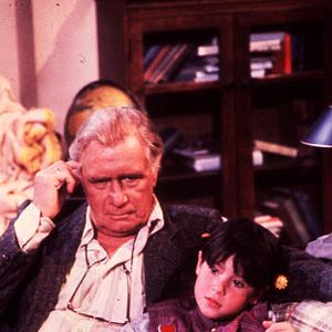 Photo Punky Brewster