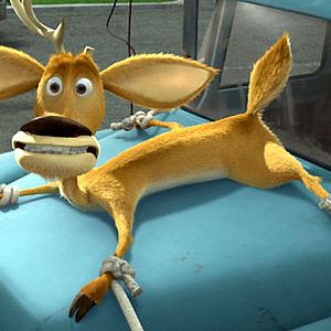 Photo Anthony Stacchi