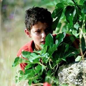 Photo Giuseppe Cristiano