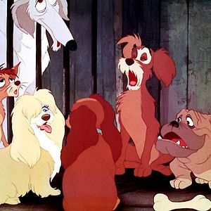 Photo Wilfred Jackson