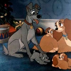 Photo La Belle et le Clochard