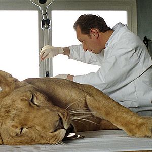 Photo Benoît Poelvoorde