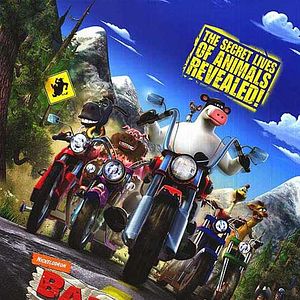 Photo Steve Oedekerk