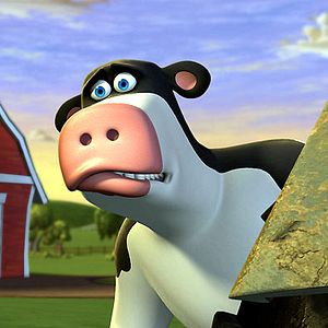 Photo Steve Oedekerk