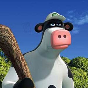 Photo Steve Oedekerk