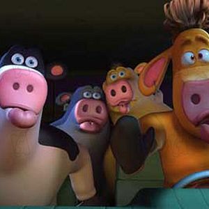 Photo Steve Oedekerk