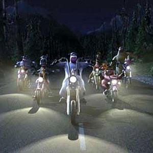 Photo Steve Oedekerk