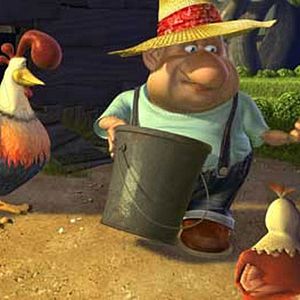 Photo Steve Oedekerk