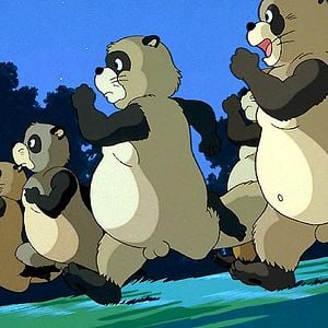 Photo Pompoko