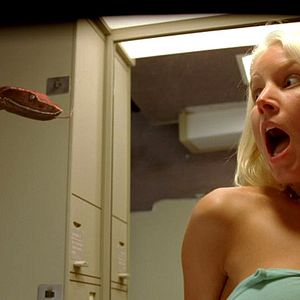 Photo Des serpents dans l'avion