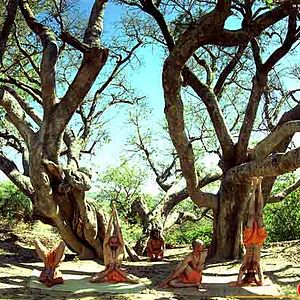 Photo Inde mystique, le voyage initiatique de Neelkanth