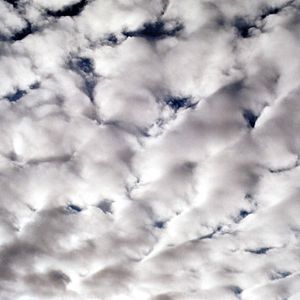 Photo Ten skies