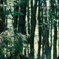 Photo Ricardo Darín