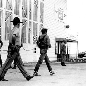 Photo La Balade sauvage