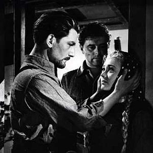 Photo Michael Powell