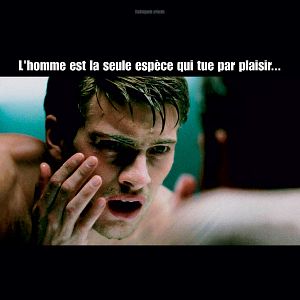 Photo Andreas Wilson