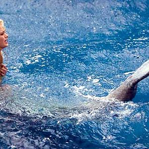 Photo Elizabeth Allen