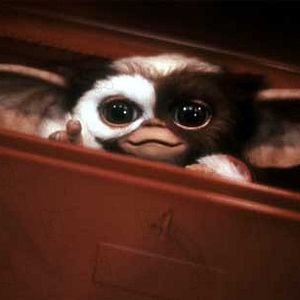 Photo Joe Dante