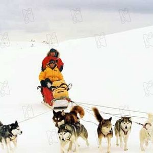 Photo Bruce Greenwood