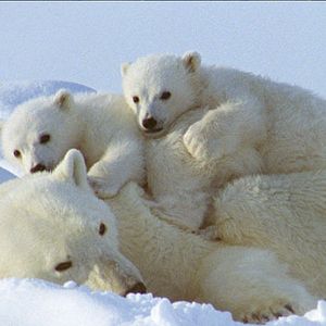 Photo Thierry Piantanida