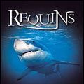 Photo Le Monde des requins - Requins 3D