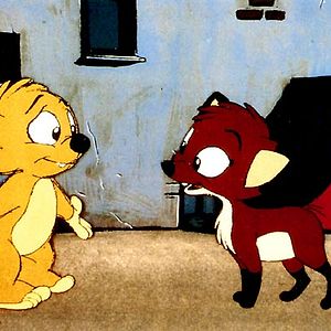 Photo Stefan Fjeldmark