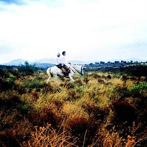 Photo Honor de cavallería