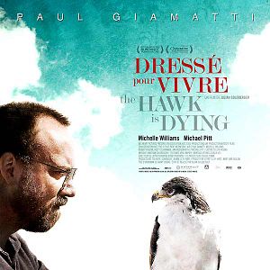 Photo The Hawk is Dying - Dressé pour vivre