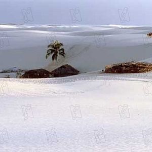 Photo Andrucha Waddington