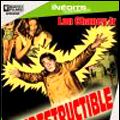Photo L'Indestructible