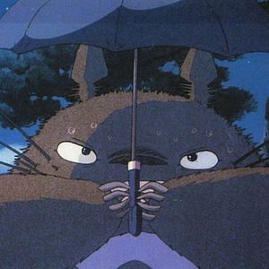 Photo Mon voisin Totoro