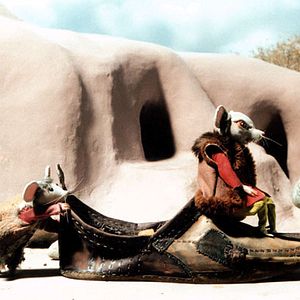 Photo Abdollah Alimorad