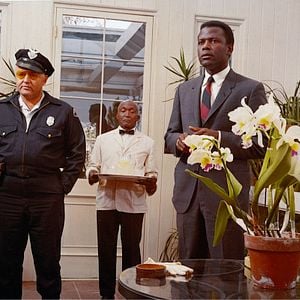 Photo Dans la chaleur de la nuit