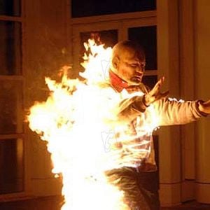 Photo 28 semaines plus tard