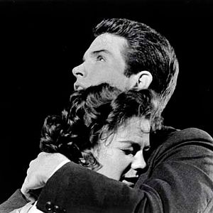 Photo La Fièvre dans le sang