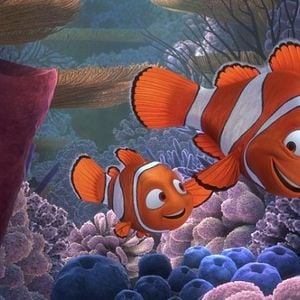Photo Le Monde de Nemo