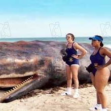 Photo Robert Ben Garant