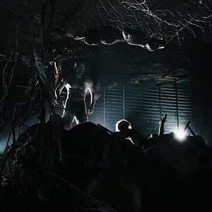 Photo Franck Vestiel