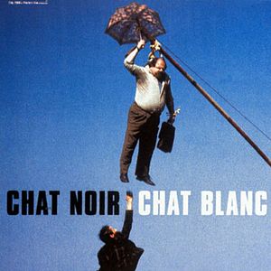 Photo Chat noir, chat blanc