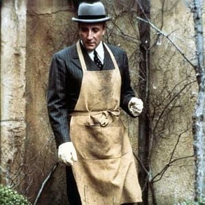 Photo Bienvenue Mister Chance