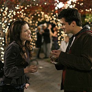 Photo Stephen Colletti