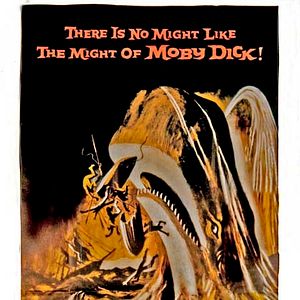 Photo Moby Dick