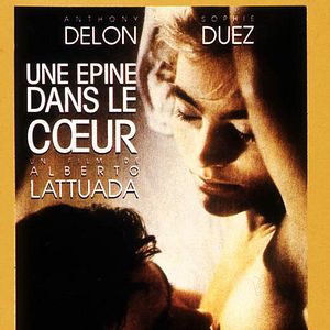 Photo Une Epine dans le Coeur