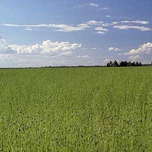 Photo Davide Ferrario