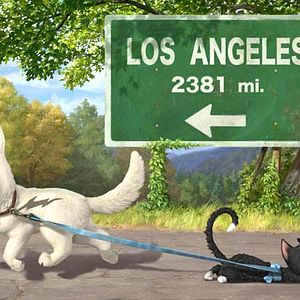 Photo Chris Williams