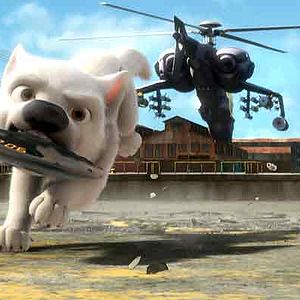 Photo Chris Williams