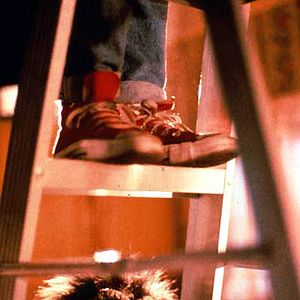 Photo Kristine Peterson