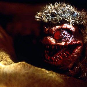 Photo Critters 2: The Main Course