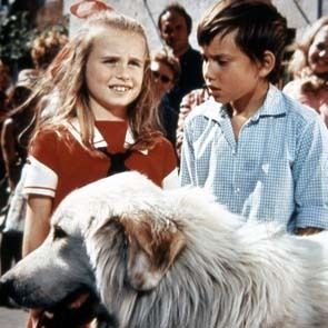 Photo Mehdi El Glaoui